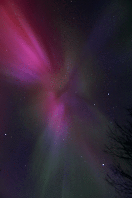 lights19.gif