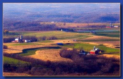 dairy farms