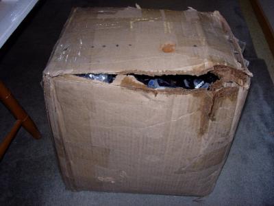 Ripped Open Box.jpg