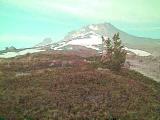 Mt. Hood Snag in the 60s by Kim Borchardt
