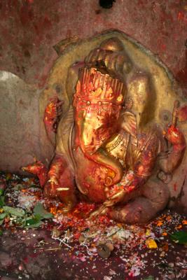 Image of Ganeshia