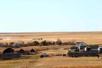 Harvest Time on the Saskatchewan Prairie, October, 2004