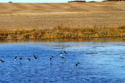 u49/ksproule/medium/34953143.IMG_9812.jpg