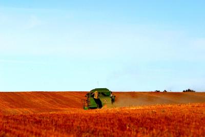 u49/ksproule/medium/34953172.IMG_9880.jpg