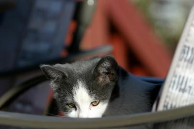 u49/ksproule/medium/34953204.IMG_9931.jpg