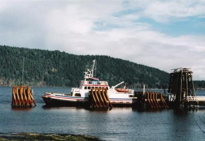 Nimpkish at Denman East