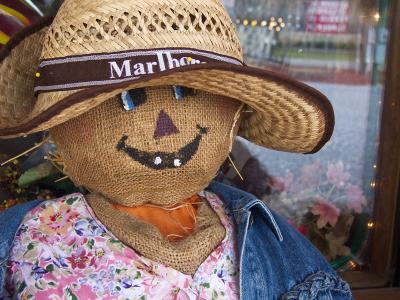 Scarecrow at Pipestem Trading Post