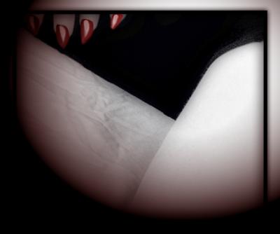 shark