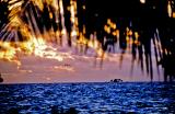 Rangiroa Island Sunset copy.jpg