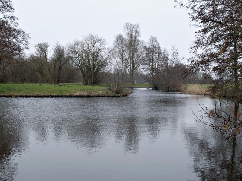 Pond in Park