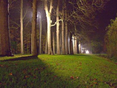 Nightshot