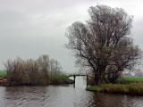 Friesian November Landscape