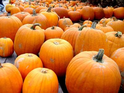 Pumpkins.JPG