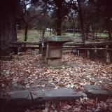 Fall Stone Table