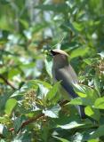 DSC_2176.jpg