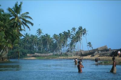 Kerala1031_Backwaters_bathing.j