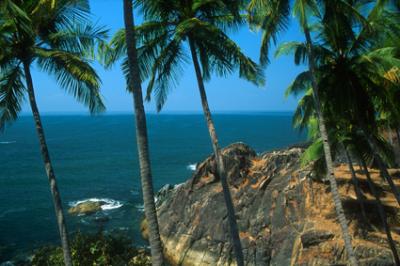 natureGoa1109_coast.jpg