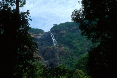 natureIN1208_waterfall_Goa.jpg