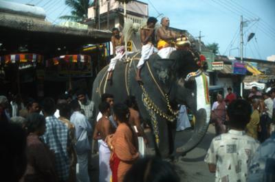 templesIN132_elephant.jpg