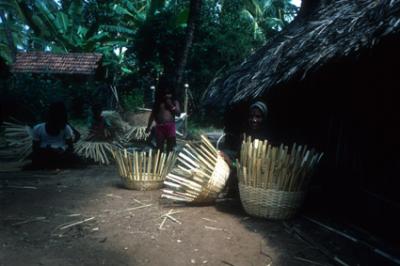 Kera1175_Backwaters_baskets.jpg