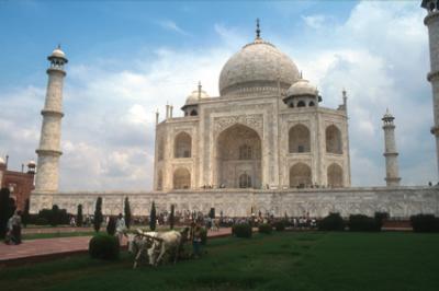 u49/lcarlsen/medium/35646810.monuIN1269_TajMahal.jpg