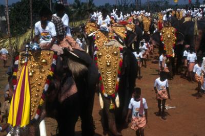 tempelIN1258_elephants.jpg