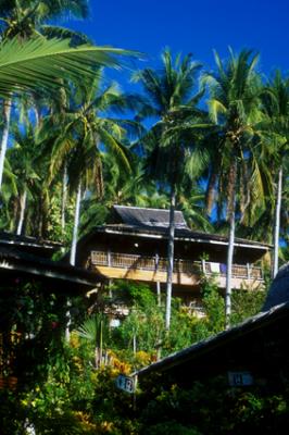 u49/lcarlsen/medium/35647537.CocoBeachPHI2000_huts.jpg