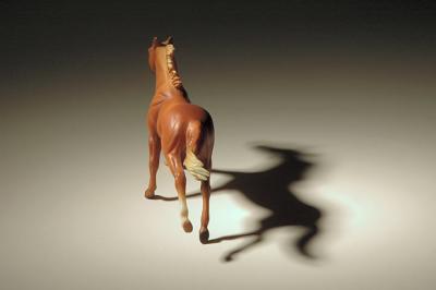 running horse shadow