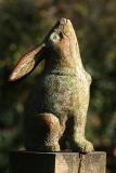 14th November 2004 - Moon Gazing Hare