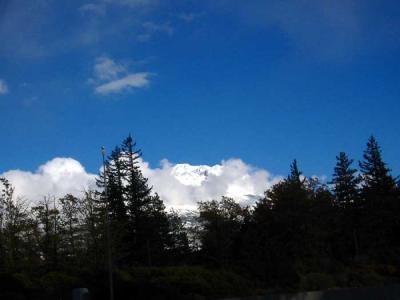 u49/liv2day/medium/35637010.mtshasta.jpg