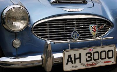 Hairy Healey