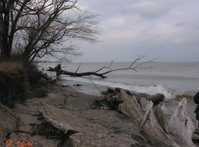 At the Lake 0641.jpg