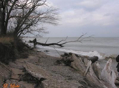 At the Lake 0641.jpg