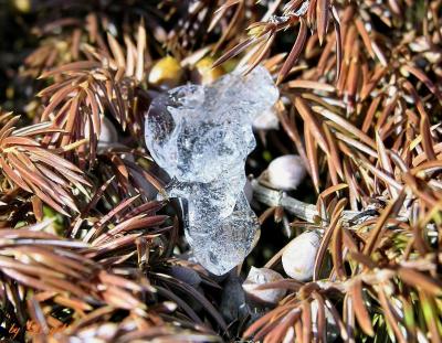 ice_at_il_beach