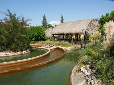 PICT0446.jpg