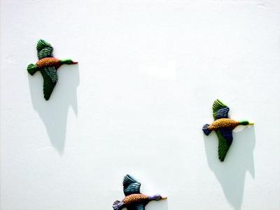 u49/locozodiac/medium/40846239.Cuac.jpg