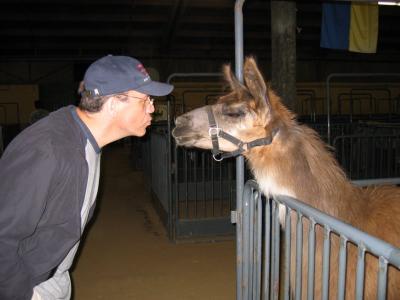 So Who Hasn't Kissed a Llama?