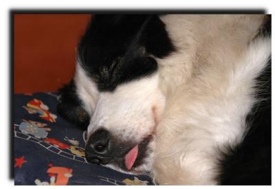lussy_sleep_0068