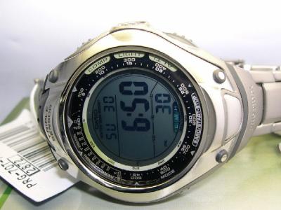 DSCN8297a-.JPG