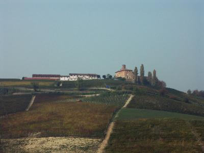 View from Barolo Castle 2