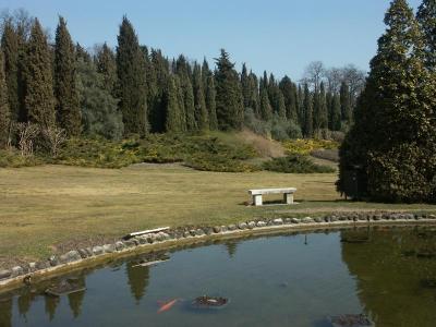 PICT0842.jpg