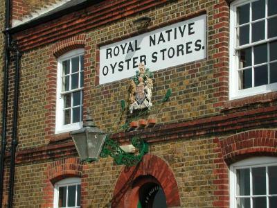 Oyster Stores