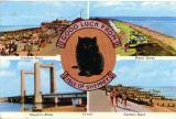 Good Luck 1980