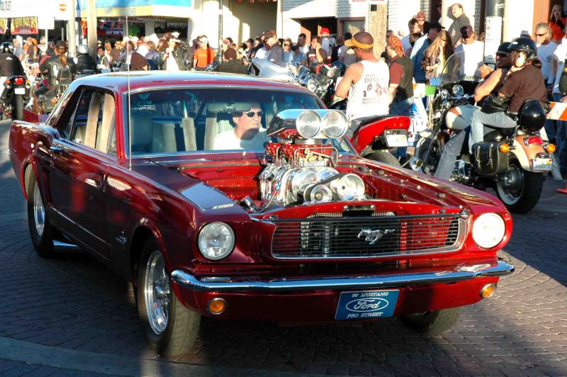 mustang.jpg