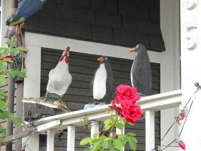 u49/lynnel/medium/40847328.porch1web.jpg