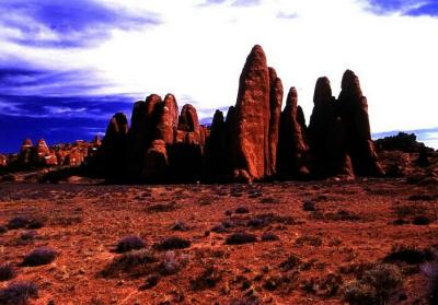 Fins in Arches