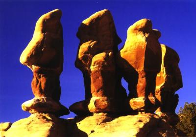 Devils Playground 1