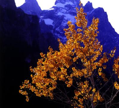 u49/m_mceuen/medium/34849525.GrandTetonsinFall.jpg