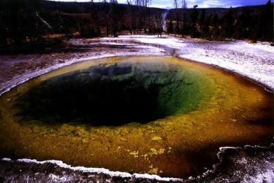 Hotspring in Yellowstone