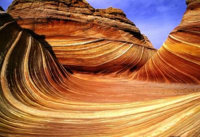 The Wave